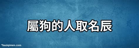 屬狗適合的字 八字 長生